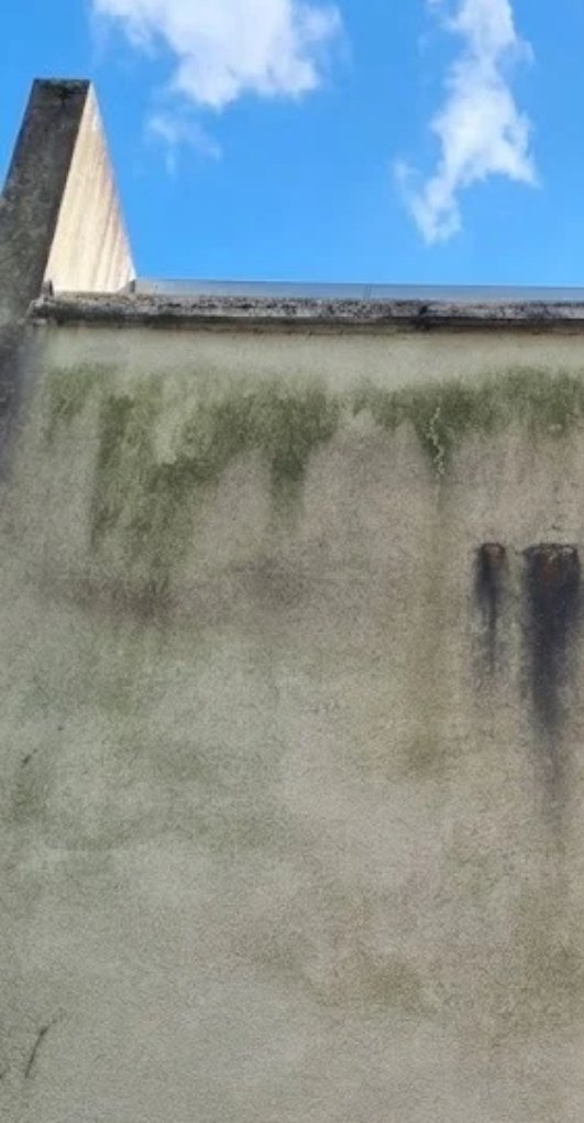Mur enduit couvert de mousse et de coulures noires avant nettoyage